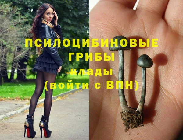 меф Арсеньев