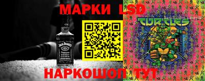 бошки Краснознаменск