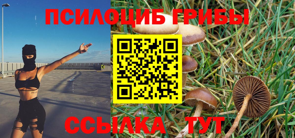 Джанкой  Галлюциногенные грибы Cubensis  Вход с VPN 